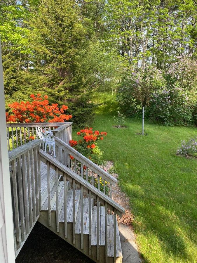 Sea La Vie Appartement Mahone Bay Buitenkant foto