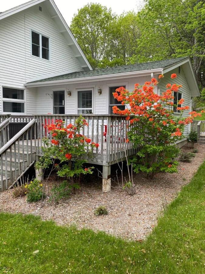 Sea La Vie Appartement Mahone Bay Buitenkant foto